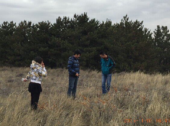 清水(shuǐ)河(hé)北(běi)堡風(fēng)電(diàn)場(chǎng)現(xiàn)場(chǎng)考察