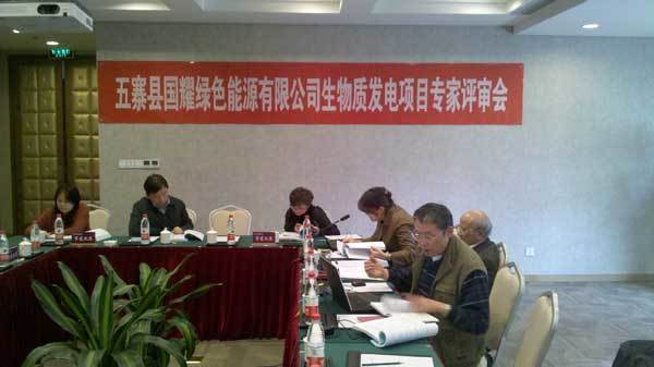 《山(shān)西(xī)五寨縣國(guó)耀綠(lǜ)色能(néng)源有(yǒu)限公司2×15MW生(shēng)物(wù)質能(néng)發電(diàn)項目可(kě)研報(bào)告》審查會(huì)議(yì)