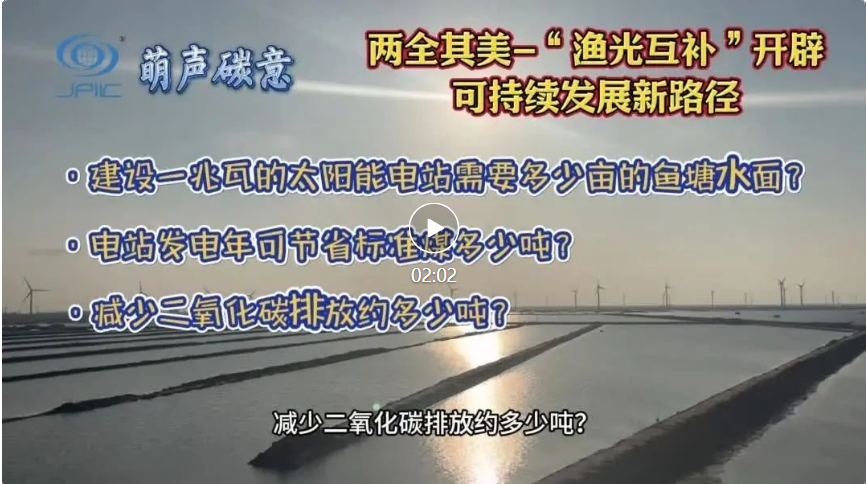 【萌聲碳意】兩全其美(měi)-“漁光(guāng)互補”開(kāi)辟可(kě)持續發展新路(lù)徑