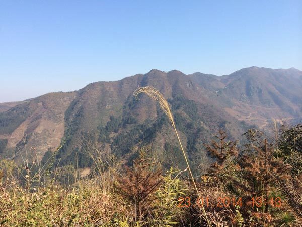 中電(diàn)投興安縣界首風(fēng)電(diàn)場(chǎng)現(xiàn)場(chǎng)考察