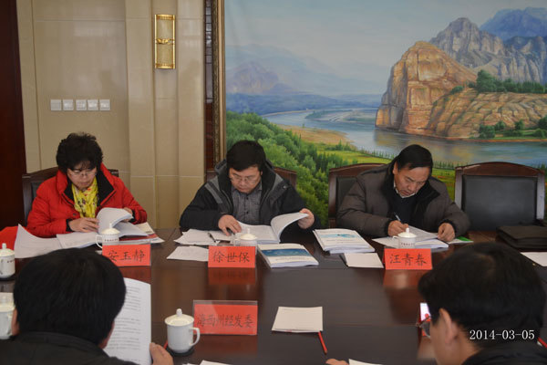 《北(běi)京瑞啓達格爾木(mù)大(dà)格勒二期風(fēng)電(diàn)場(chǎng)工(gōng)程預可(kě)行(xíng)性研究報(bào)告（送審稿）》審查會(huì)議(yì)