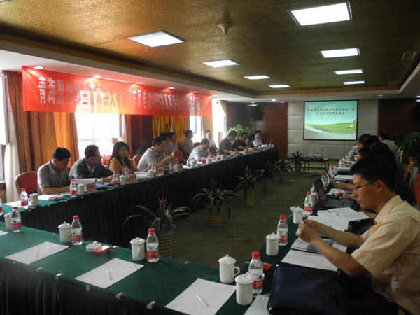 瑞啓達格爾木(mù)東(dōng)出口風(fēng)電(diàn)場(chǎng)項目可(kě)研及聚鴻都(dōu)蘭大(dà)格勒河(hé)東(dōng)風(fēng)電(diàn)場(chǎng)項目可(kě)研審查會(huì)