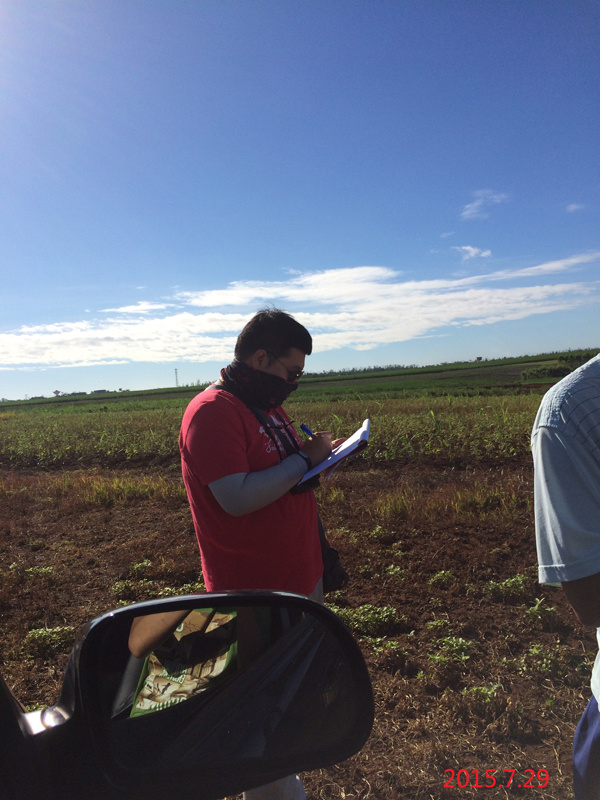 中航湛江雷州龍門(mén)風(fēng)電(diàn)場(chǎng)微(wēi)觀選址