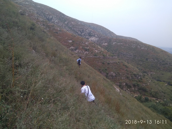 河(hé)南(nán)省鶴壁市(shì)淇縣黃(huáng)洞100MW風(fēng)電(diàn)場(chǎng)項目