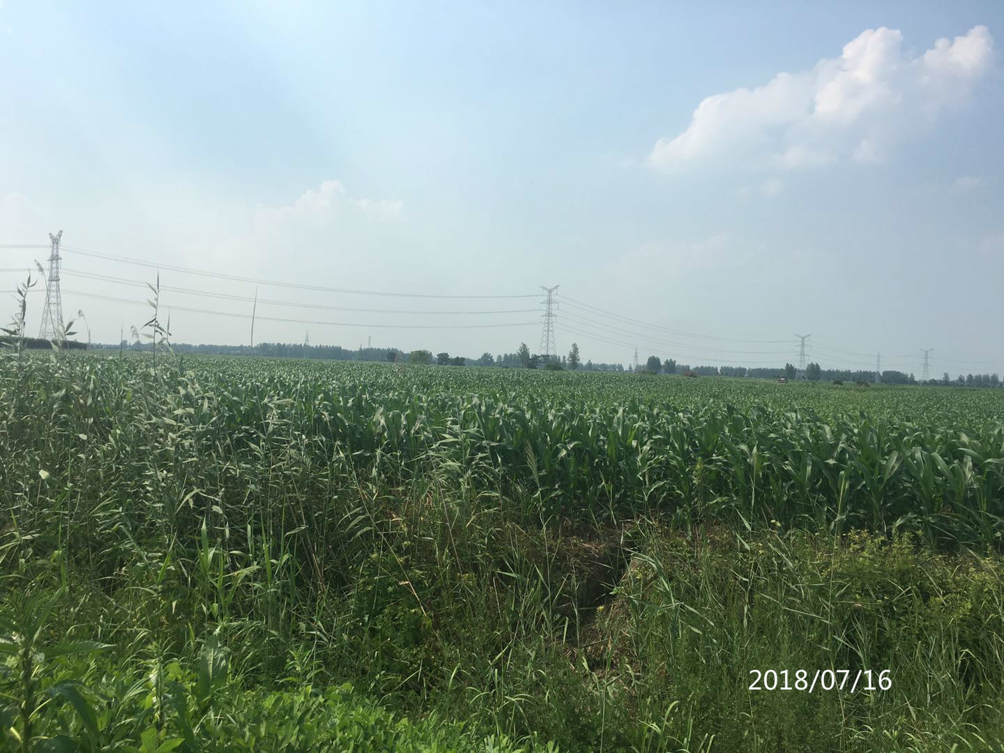 華潤濉溪一(yī)期、二期風(fēng)電(diàn)項目現(xiàn)場(chǎng)考察