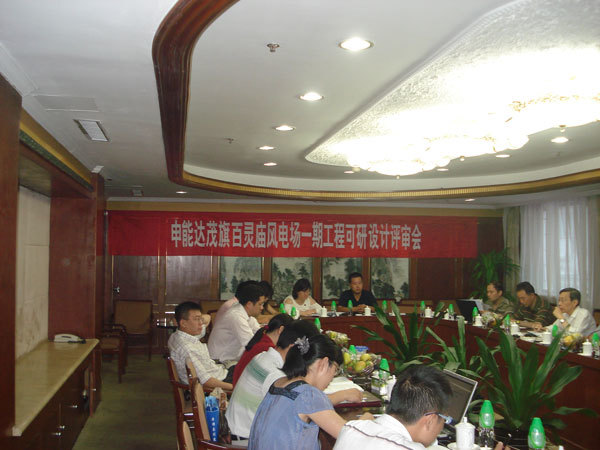 申能(néng)達茂旗百靈廟風(fēng)電(diàn)場(chǎng)一(yī)期工(gōng)程可(kě)行(xíng)性研究報(bào)告審查會(huì)