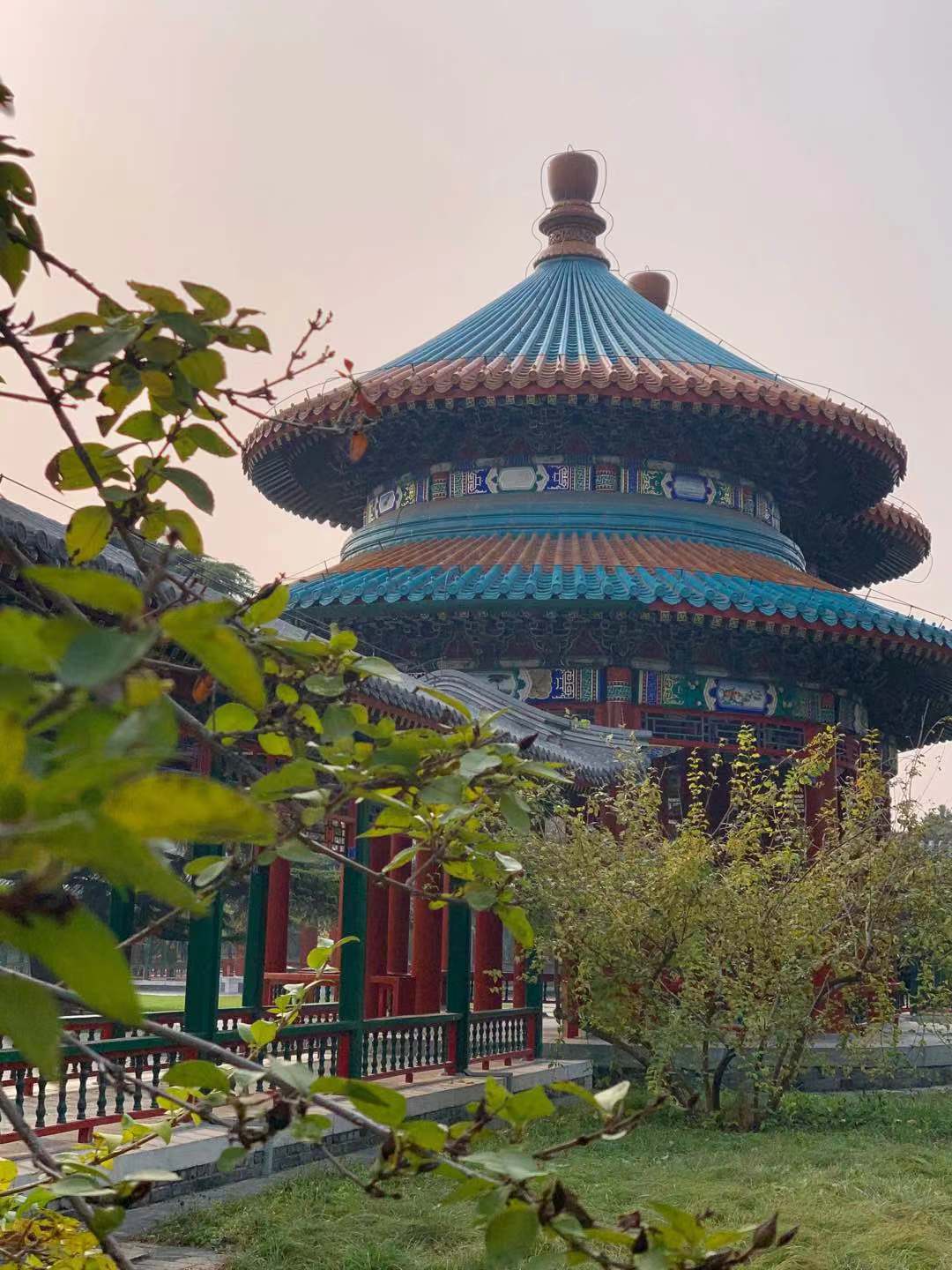 金(jīn)風(fēng)飒飒、丹楓迎秋——計(jì)鵬工(gōng)會(huì)2021年(nián)健康跑活動圓滿結束