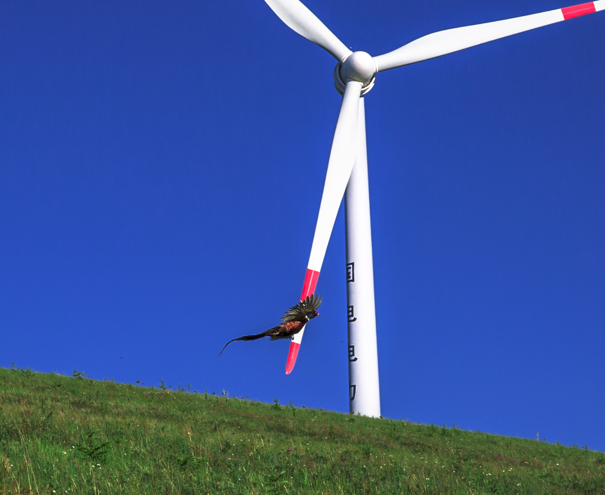 2023年(nián)業(yè)績