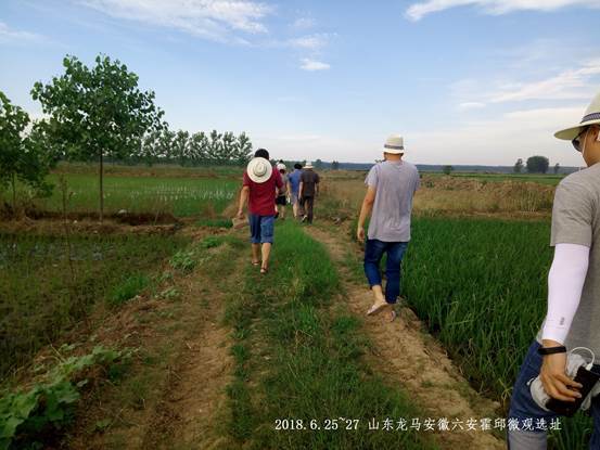 山(shān)東(dōng)龍馬安徽六安霍邱項目微(wēi)觀選址