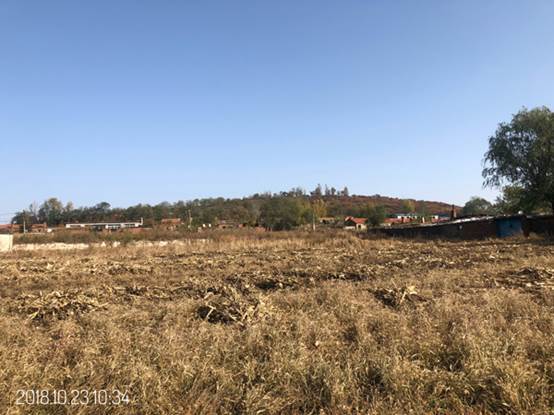 遼甯調兵(bīng)山(shān)、本溪分(fēn)散式風(fēng)電(diàn)項目