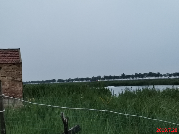 我司技(jì)術(shù)人(rén)員(yuán)赴山(shān)東(dōng)省濱州市(shì)沾化(huà)區(qū)對(duì)項目進行(xíng)現(xiàn)場(chǎng)踏勘