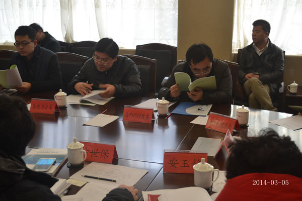 《青海(hǎi)省錫鐵(tiě)山(shān)鎮流沙坪風(fēng)電(diàn)場(chǎng)一(yī)期工(gōng)程可(kě)行(xíng)性研究報(bào)告（送審稿）》審查會(huì)議(yì)