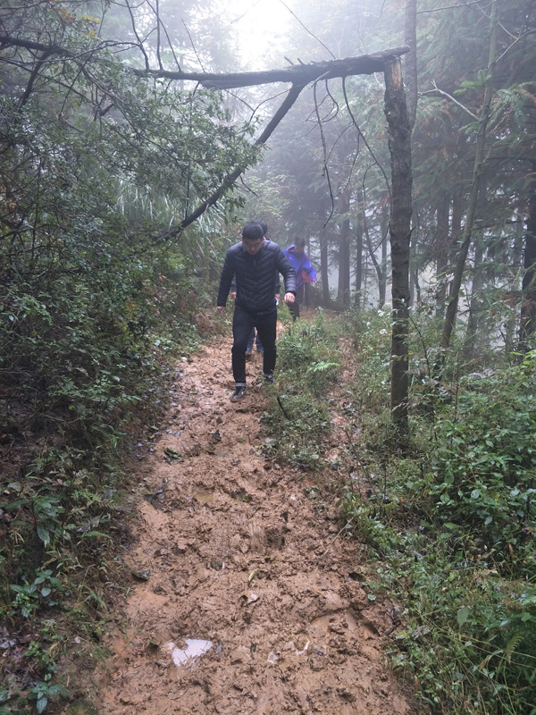 貴州清鎮風(fēng)電(diàn)場(chǎng)工(gōng)程