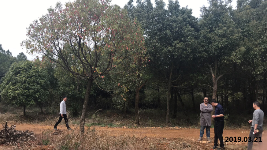 設計(jì)先遣　　宣城(chéng)市(shì)宣州區(qū)沈村(cūn)鎮風(fēng)電(diàn)項目