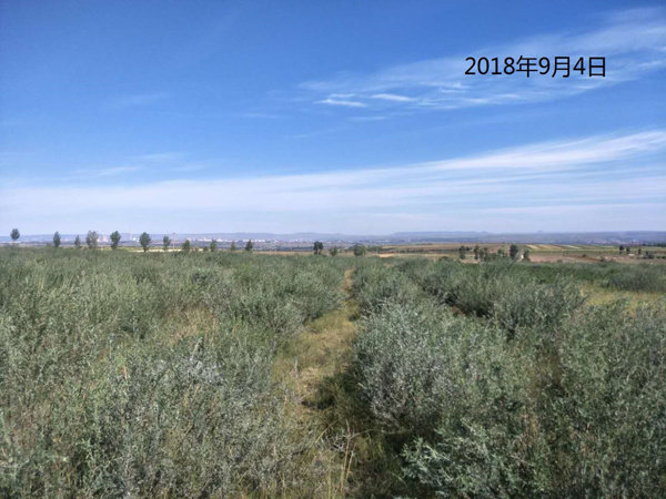 大(dà)同格盟清潔供暖項目