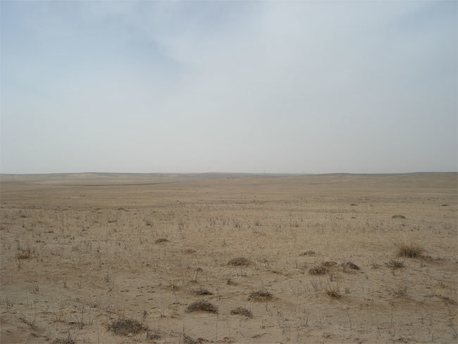 甯夏太陽山(shān)地(dì)區(qū)光(guāng)伏電(diàn)站(zhàn)項目現(xiàn)場(chǎng)考察