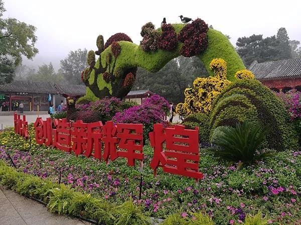 第十屆登山(shān)主題活動“欣賞紅(hóng)葉最佳期，勇于攀登再向前”