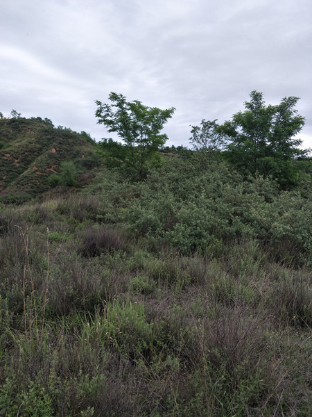 臨汾浮山(shān)分(fēn)散式風(fēng)電(diàn)項目