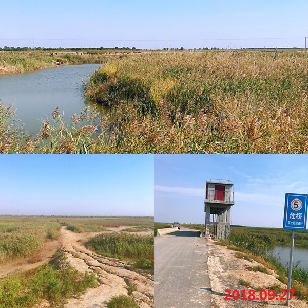 濱州市(shì)沾化(huà)區(qū)馮家(jiā)鎮風(fēng)電(diàn)項目