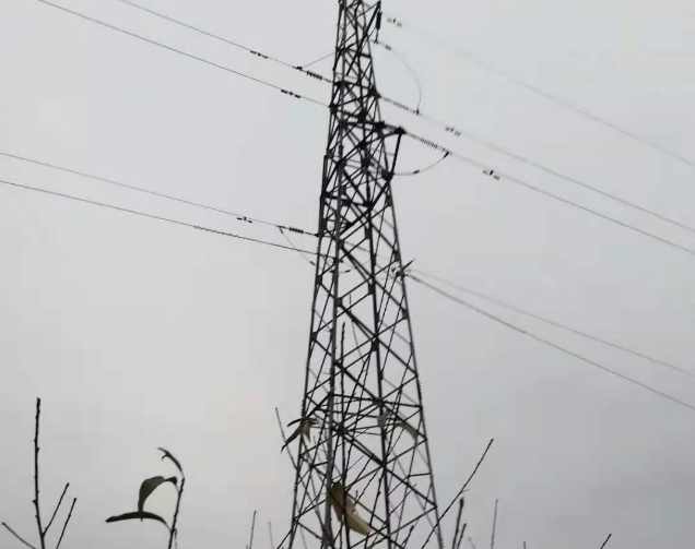 【計(jì)鵬視(shì)角】線路(lù)巡視(shì)知(zhī)識之 各種輸電(diàn)線路(lù)的(de)巡視(shì)要(yào)點