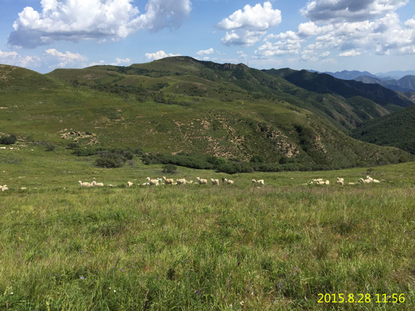 京能(néng)懷來(lái)孫莊子(zǐ)風(fēng)電(diàn)場(chǎng)一(yī)期可(kě)研項目現(xiàn)場(chǎng)考察