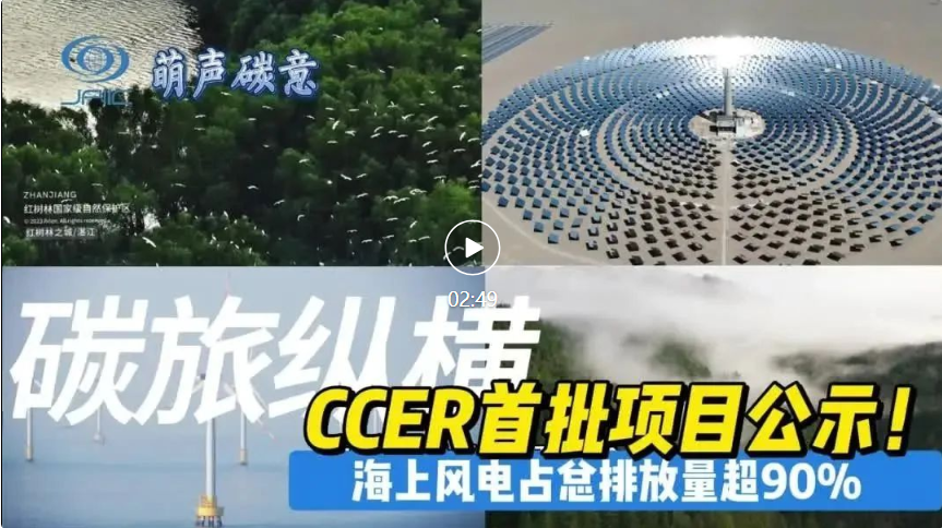 【萌聲碳意】CCER首批項目公示-海(hǎi)上(shàng)風(fēng)電(diàn)占總排放(fàng)量超90%