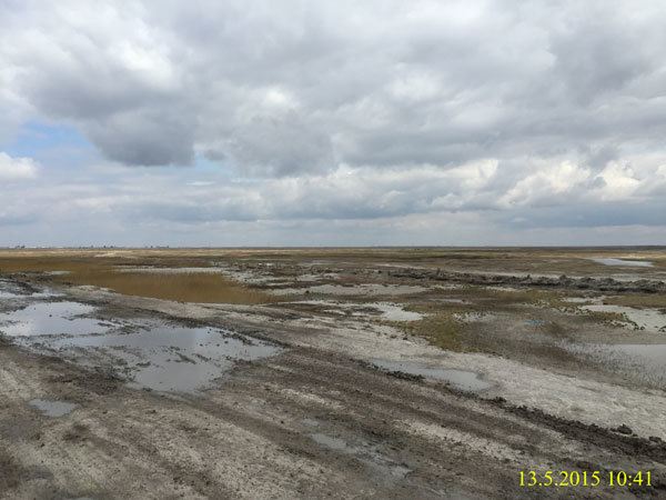 吉林(lín)平安風(fēng)電(diàn)場(chǎng)可(kě)研項目現(xiàn)場(chǎng)考察