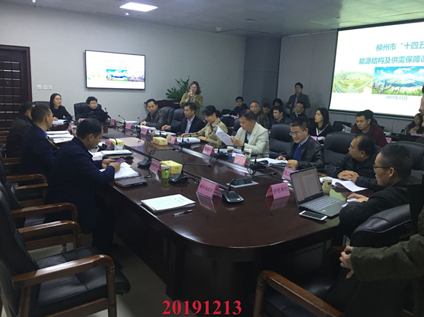 我司參加《柳州市(shì)“十四五”能(néng)源結構及供需保障課題研究》評審會(huì)議(yì)
